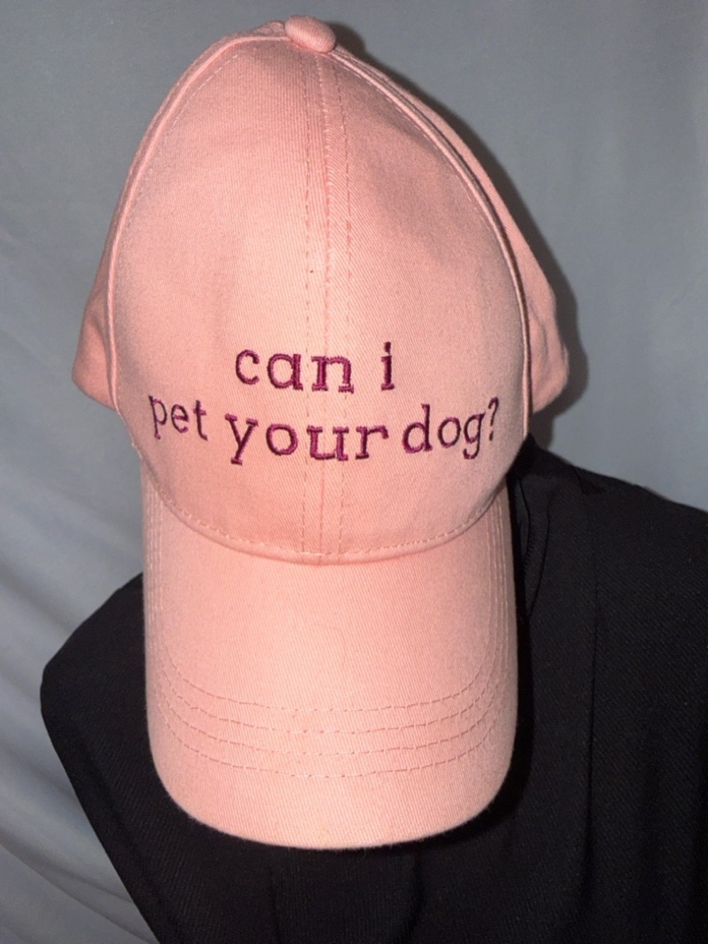 Sonoma Pink Baseball Cap with Embroidered "can i pet your dog?"